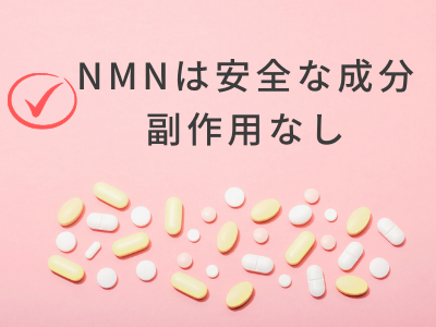 NMN 副作用 安全