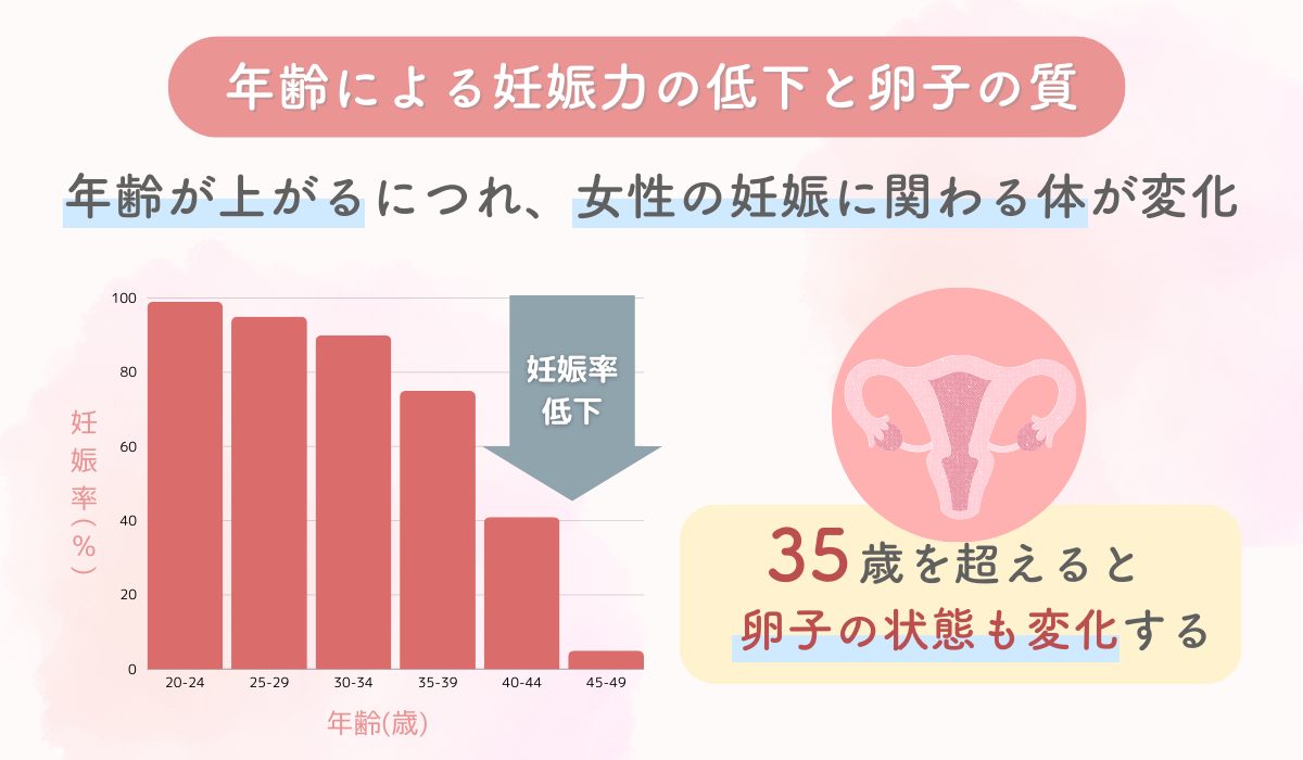 年齢による妊娠力の低下と卵子の質