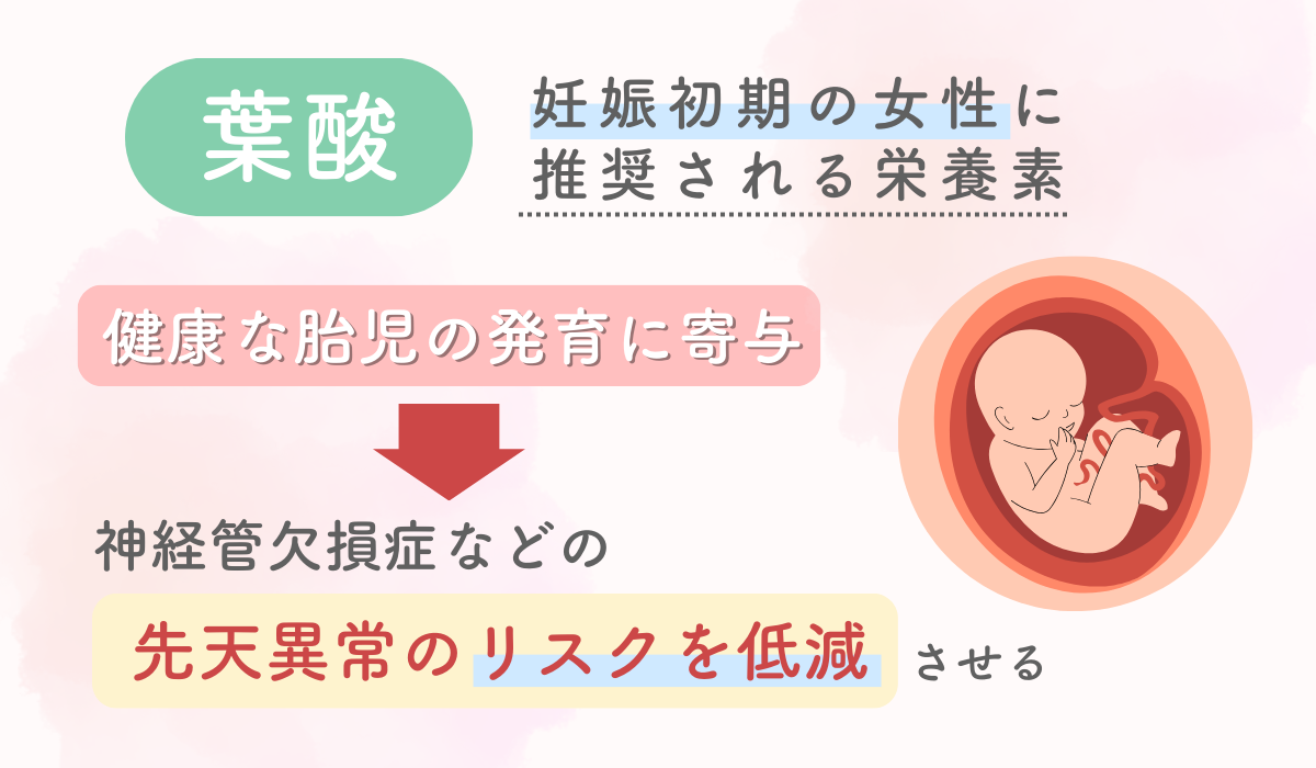 葉酸のメリット